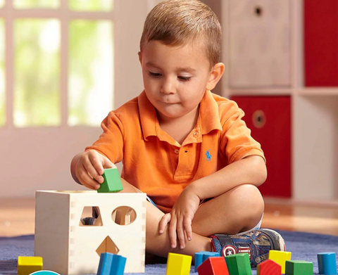 Montessoridays™ Wooden Shape Sorting Cube — play and product details