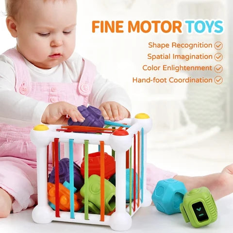 Montessoridays™ Sensory Sorting Cube — play and product details