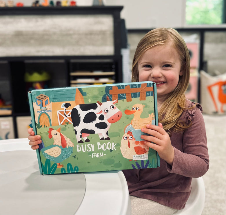 Montessoridays Sensory Matching Busy Book — play details